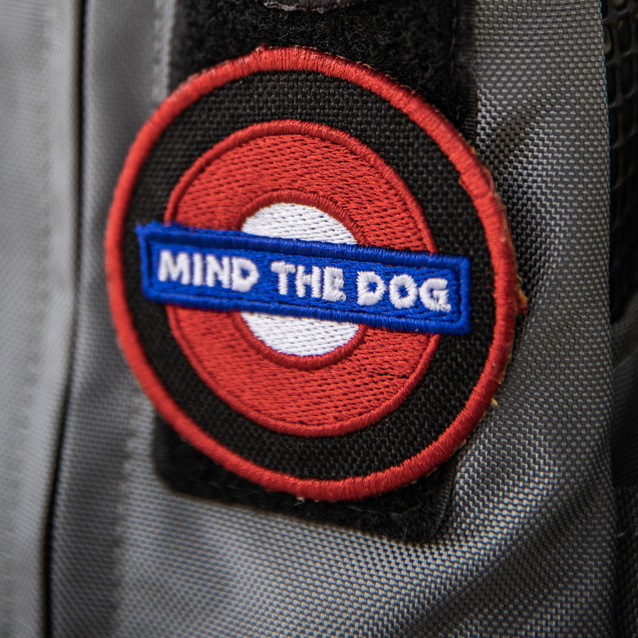 Mind the Dog Patch