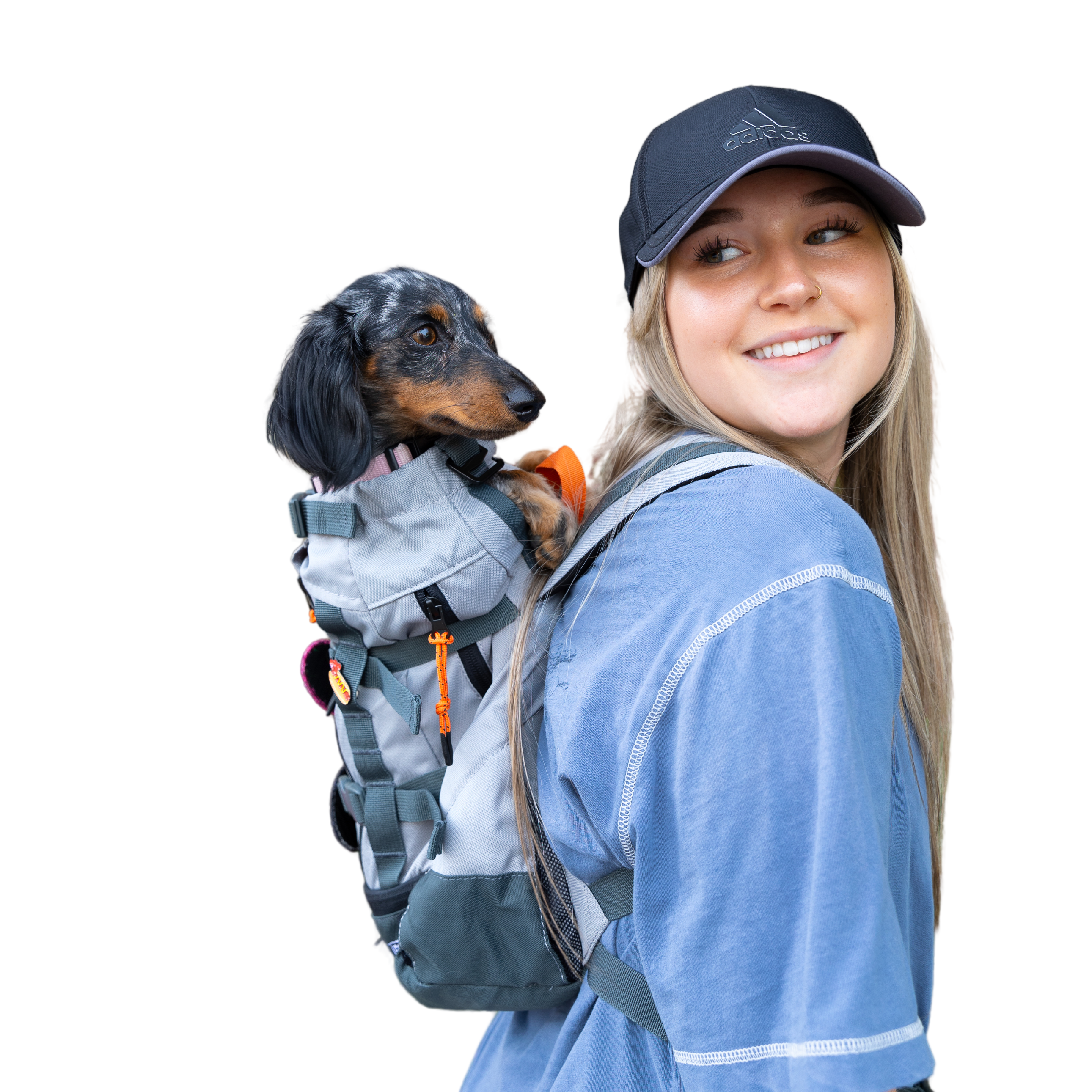 3.shopify.extra.urbancutout.dachshund.png