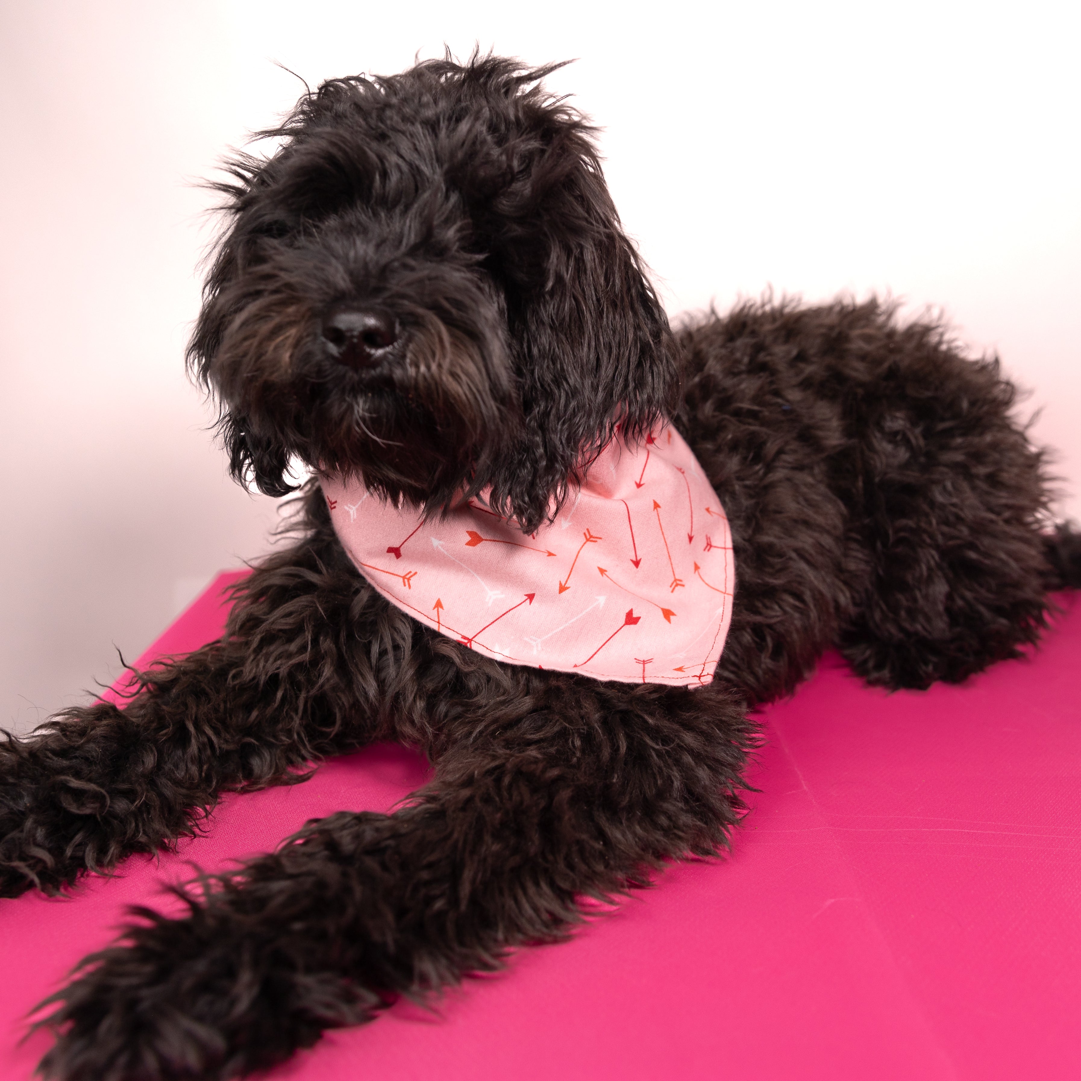 Valentines Dog Bandana