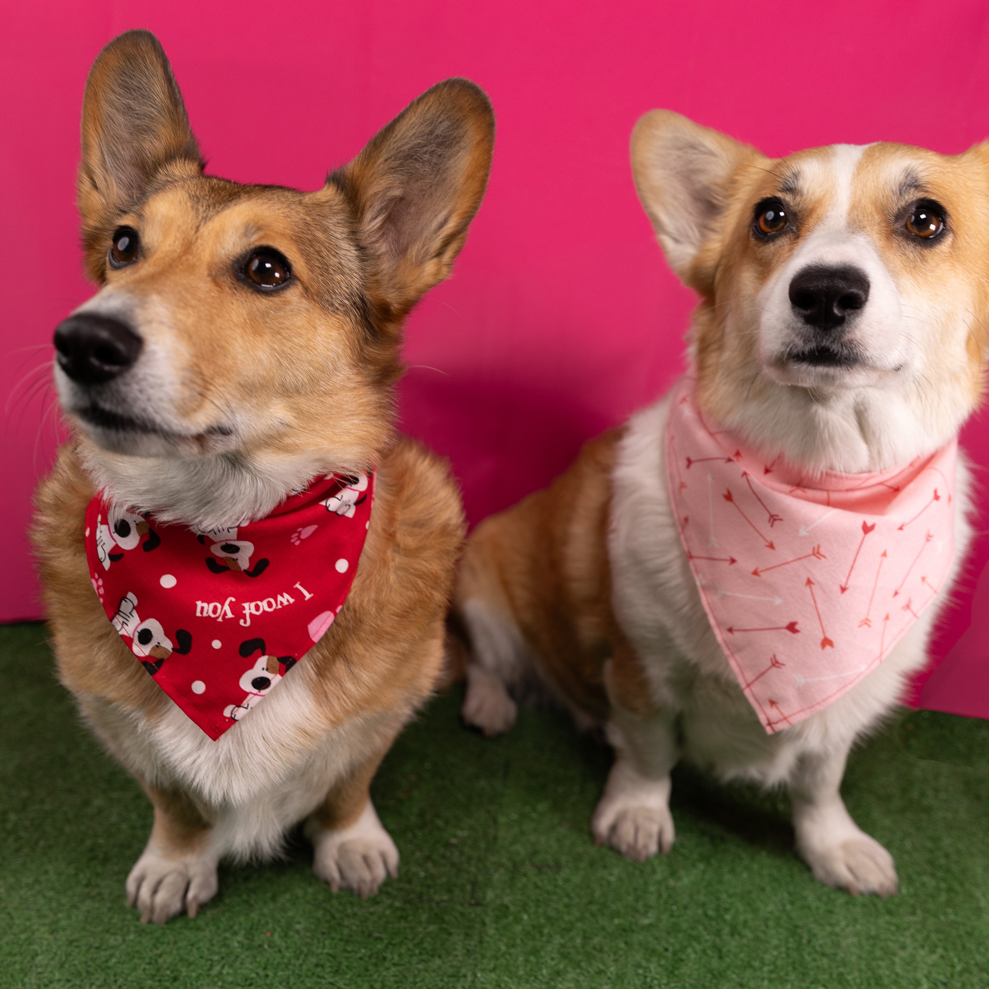 Valentines Dog Bandana