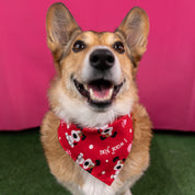 Valentines Dog Bandana