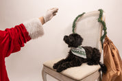 Holiday Dog Bandana