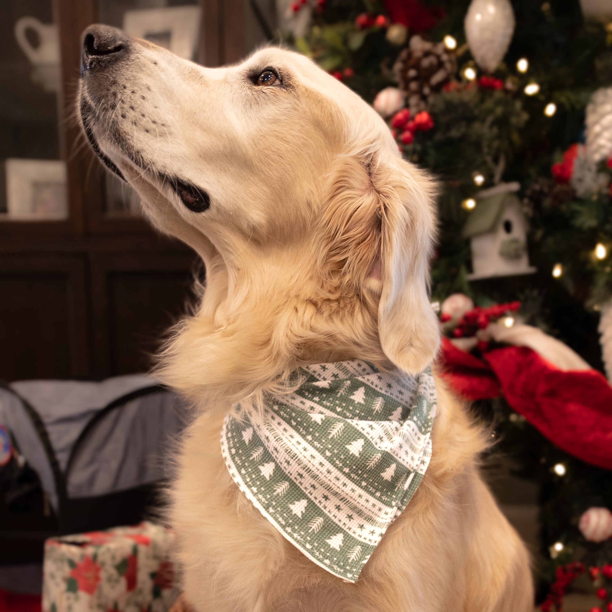 Holiday Dog Bandana