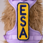 ESA 2x6 Patch