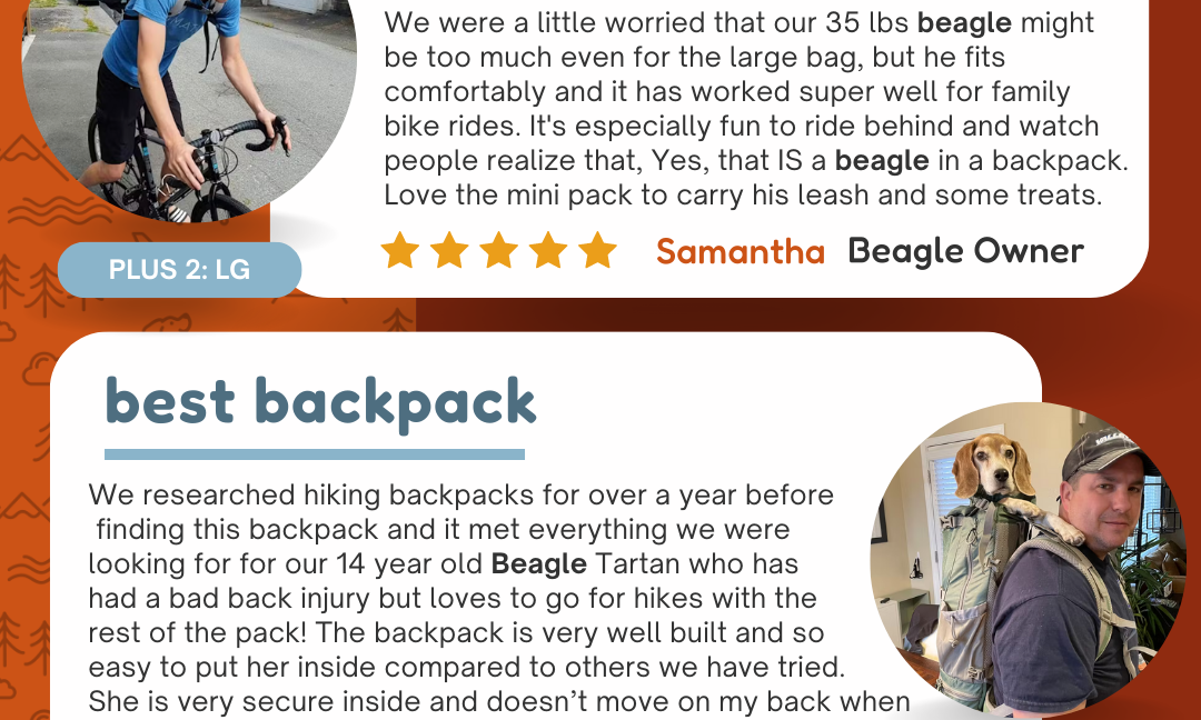 The Ultimate Guide to Beagle Backpack Carriers