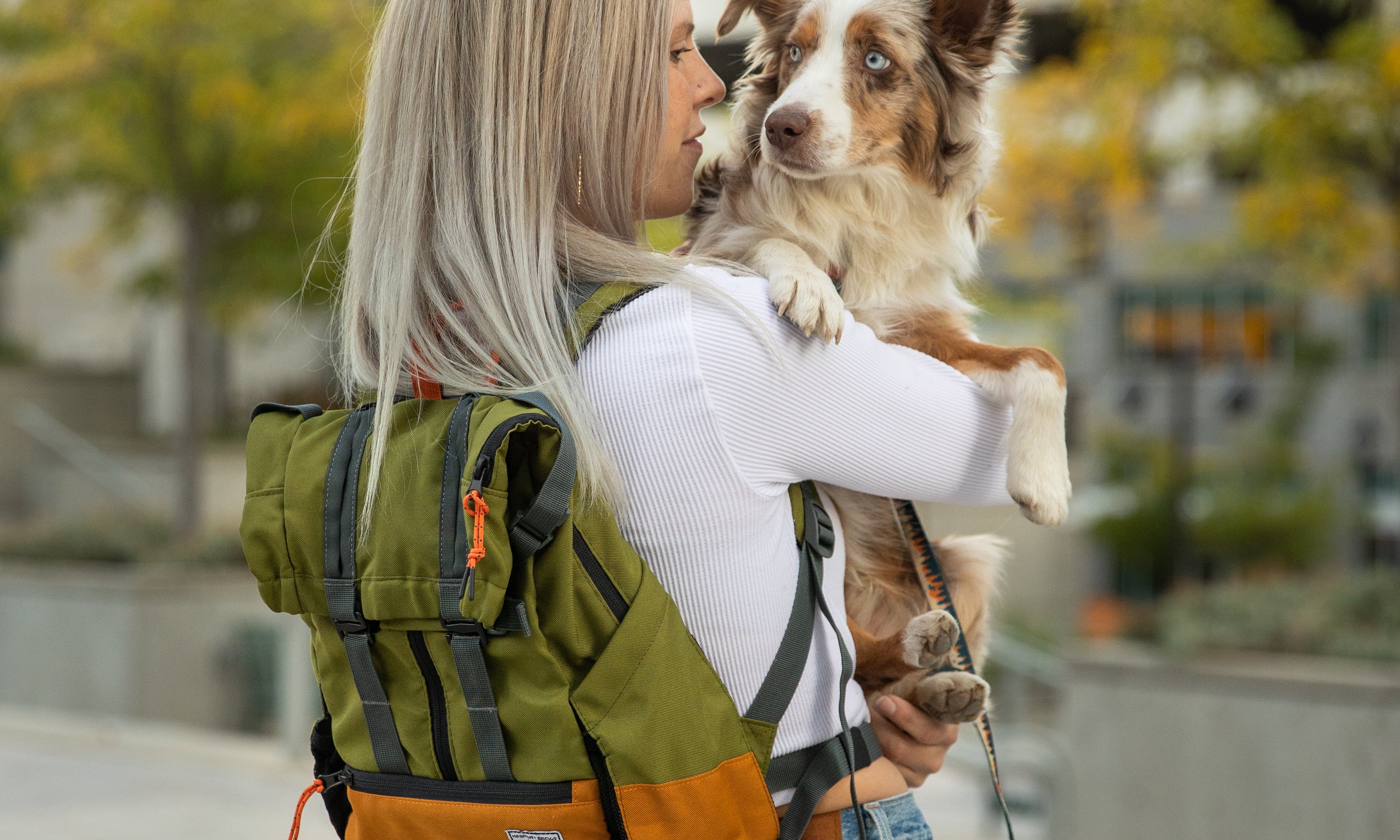 The Ultimate Guide to Urban 3 Dog Backpacks