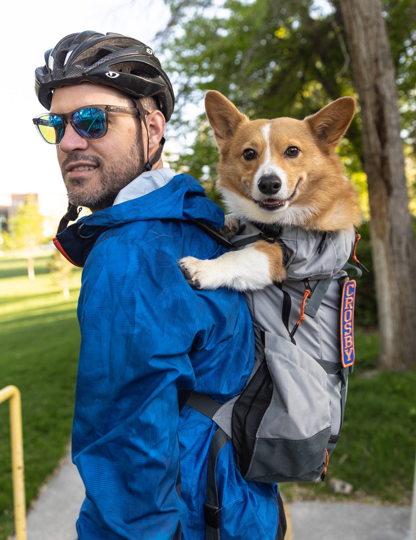 The Ultimate Guide to Dog Knapsacks