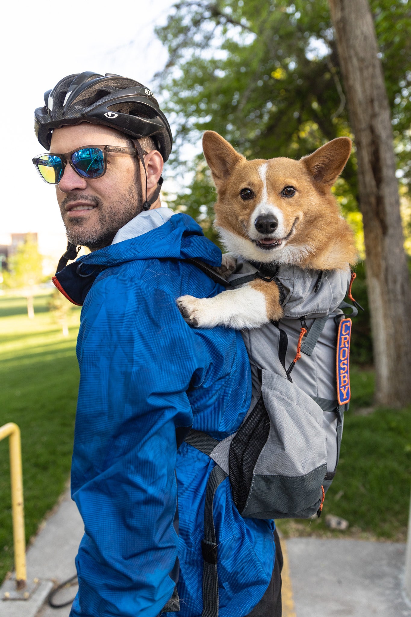 The Ultimate Guide to Dog Knapsacks