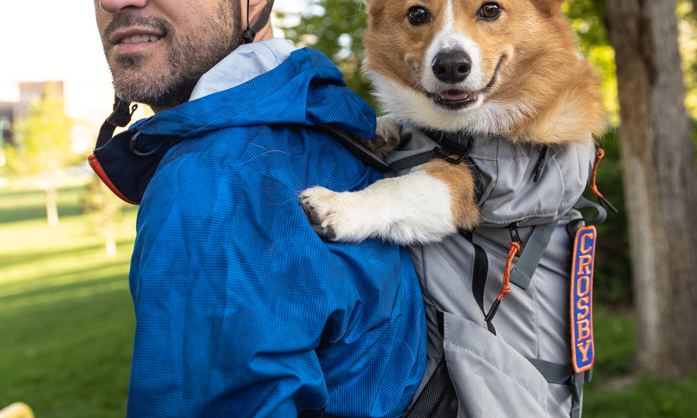 The Ultimate Guide to Dog Knapsacks