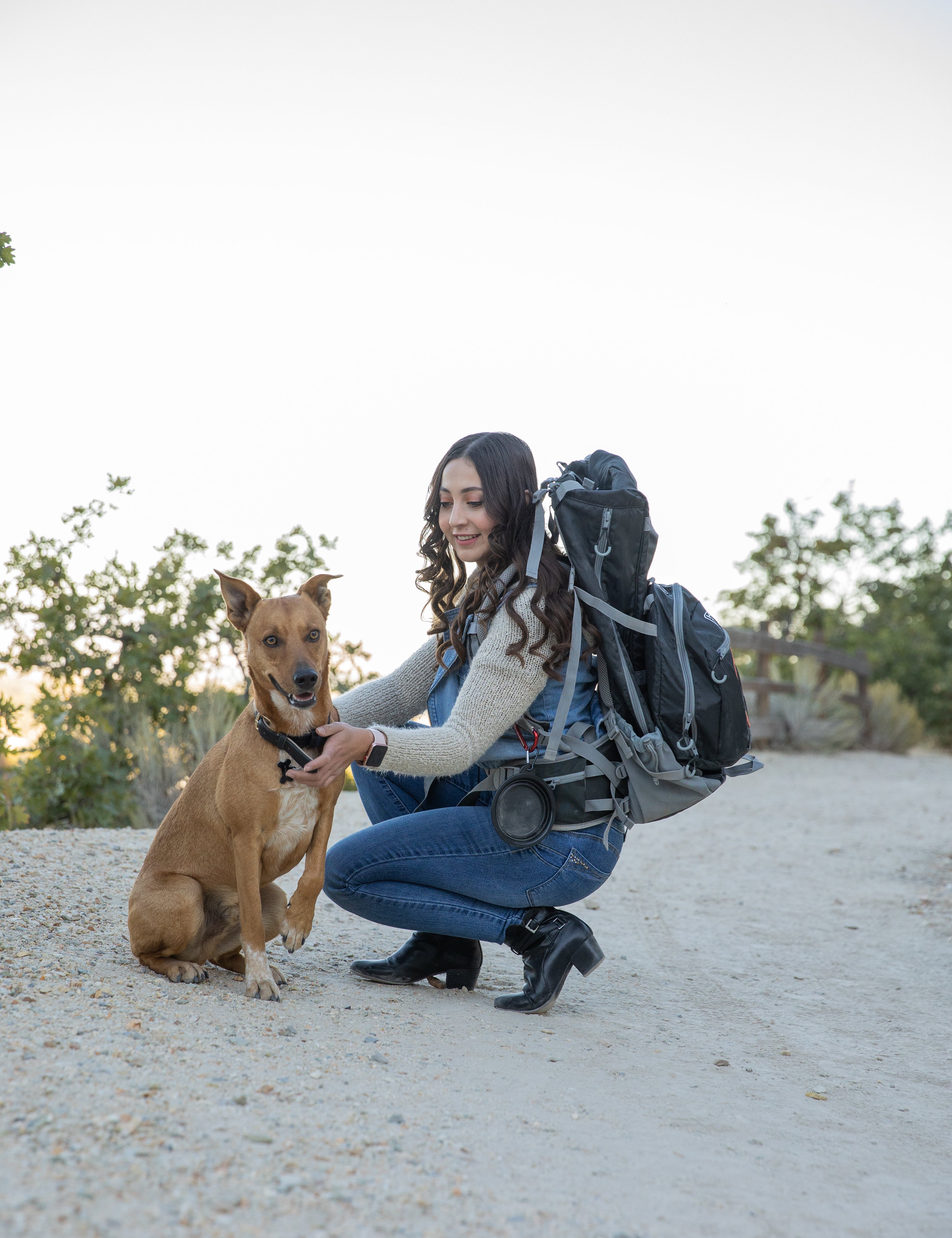 The Ultimate Guide to Cat Travel Backpacks