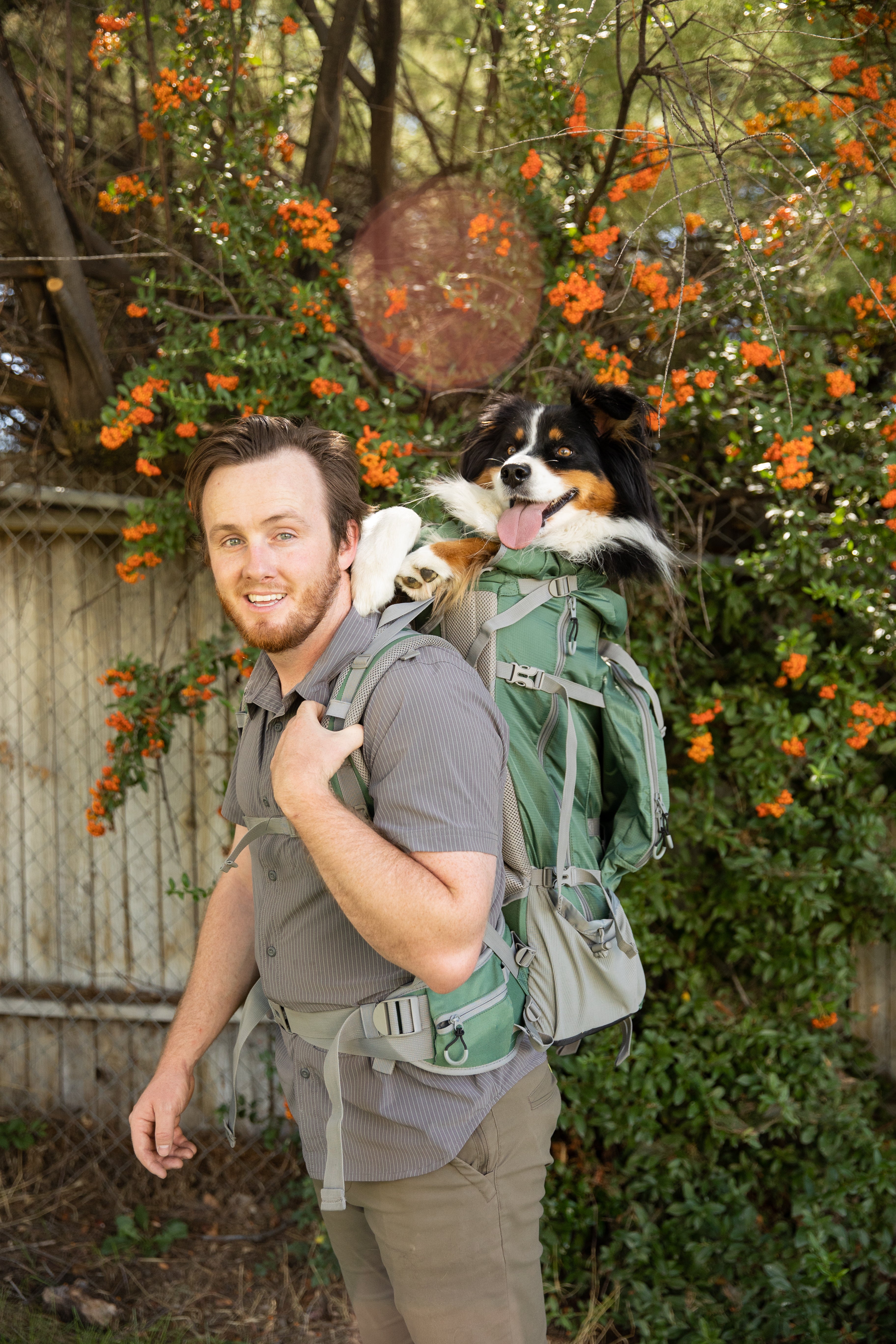 The Best Golden Retriever Backpack Carrier for Your Furry Friend