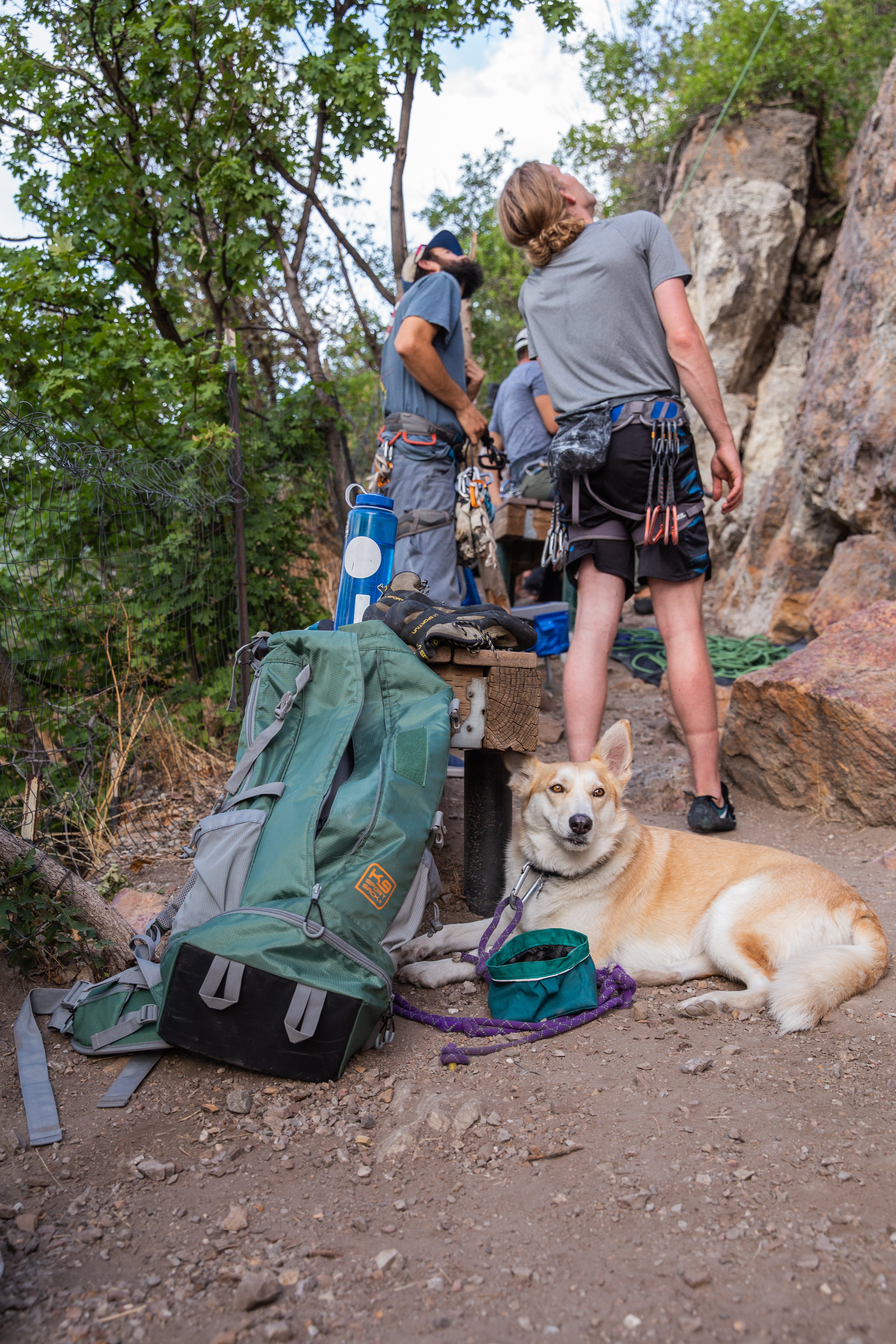 The Ultimate Guide to Great Dane Backpack Carriers